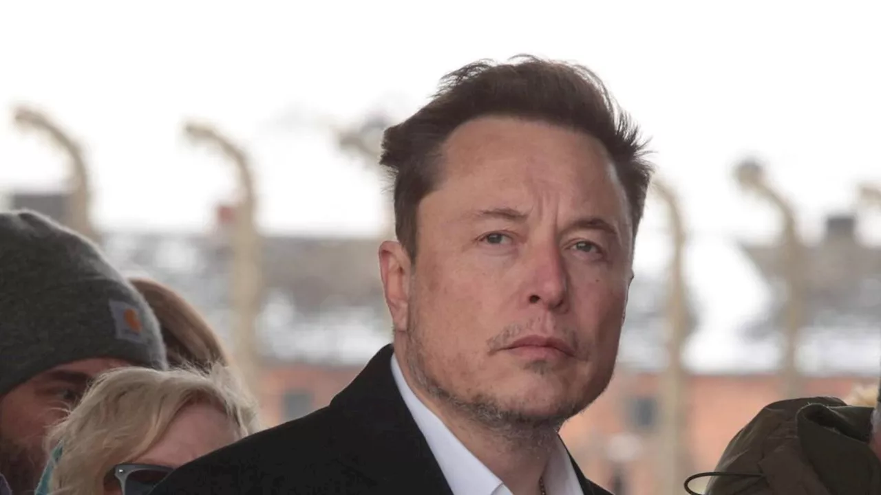 Musk: «Solo la destra dell'AfD può salvare la Germania»