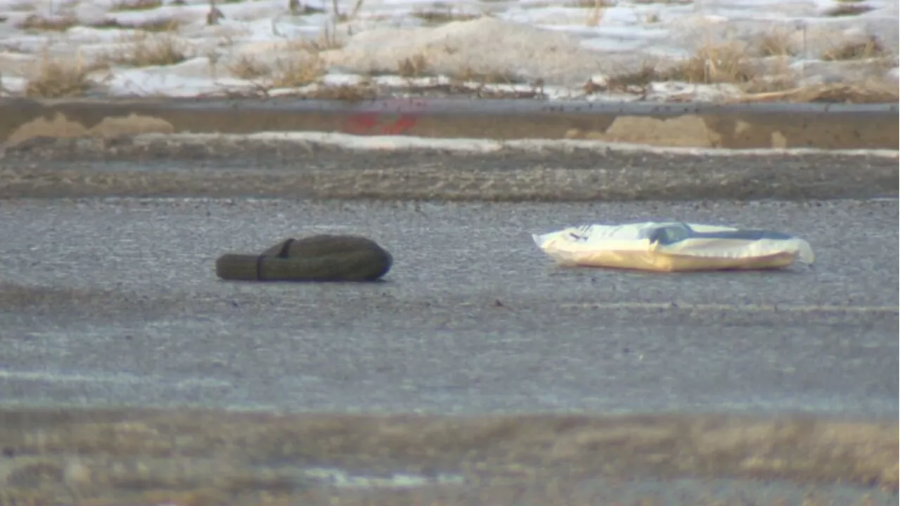 Pedestrian struck by vehicle in northeast Calgary, rushed to hospital