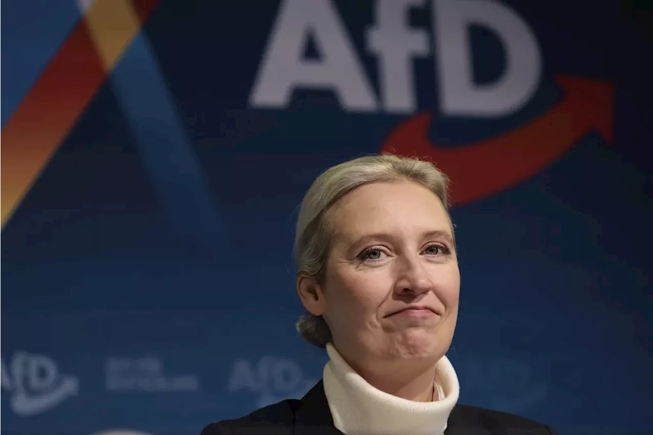 Musk wades into international politics with endorsement of Germany’s right-wing AfD party