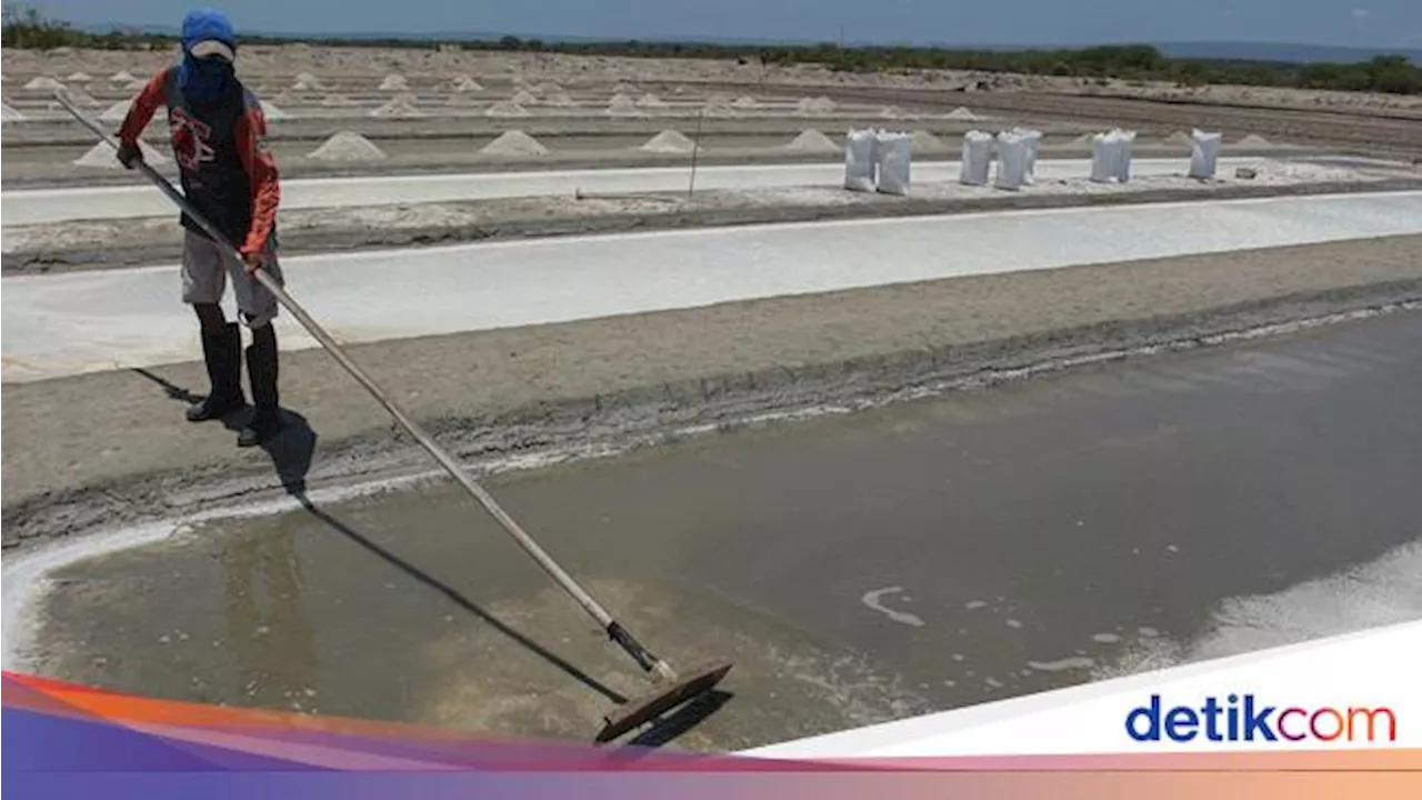 RI Mau Setop Impor Garam, KKP Bidik Lahan 500 Ha di NTT