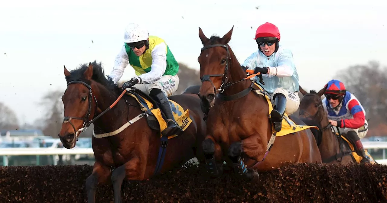 Horse Power: Famous Bridge can win the Tommy Whittle Chase again at Haydock Park