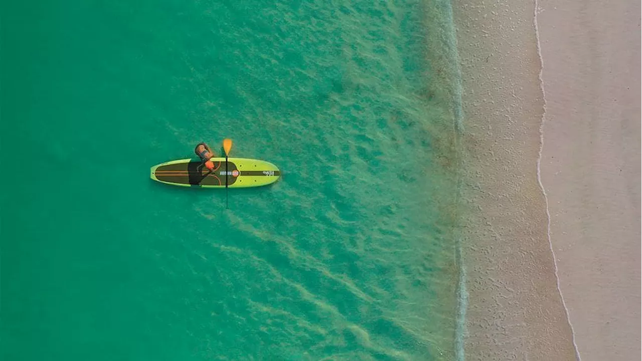 283 Playas Mexicanas Aptas para Vacaciones, Anuncia Cofepris