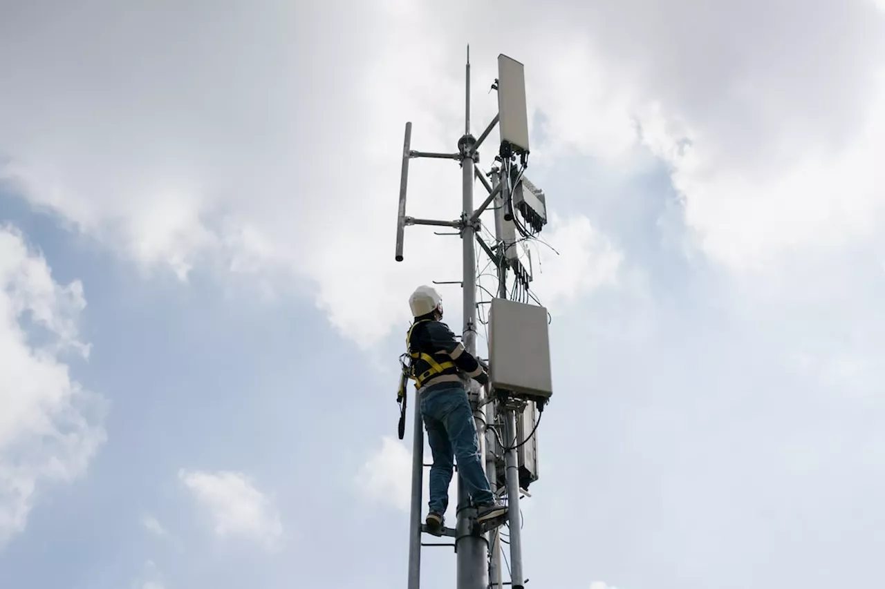 Digitalização como chave para combater as mudanças climáticas