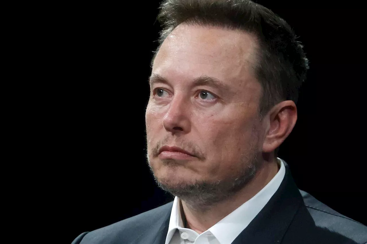 Elon Musk Says Far-Right German Party Is The Only One Equipped To ‘Save Germany’