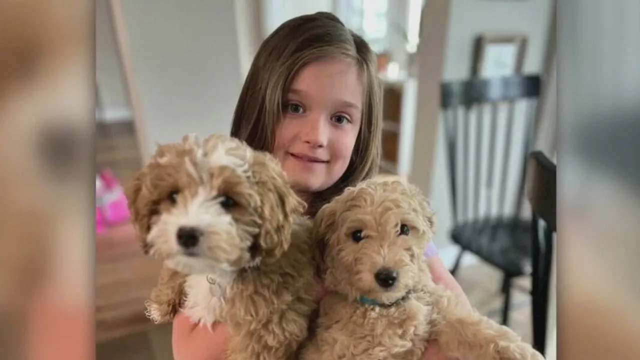 Houston-area family fears 9-year-old's emotional support dog may have been stolen