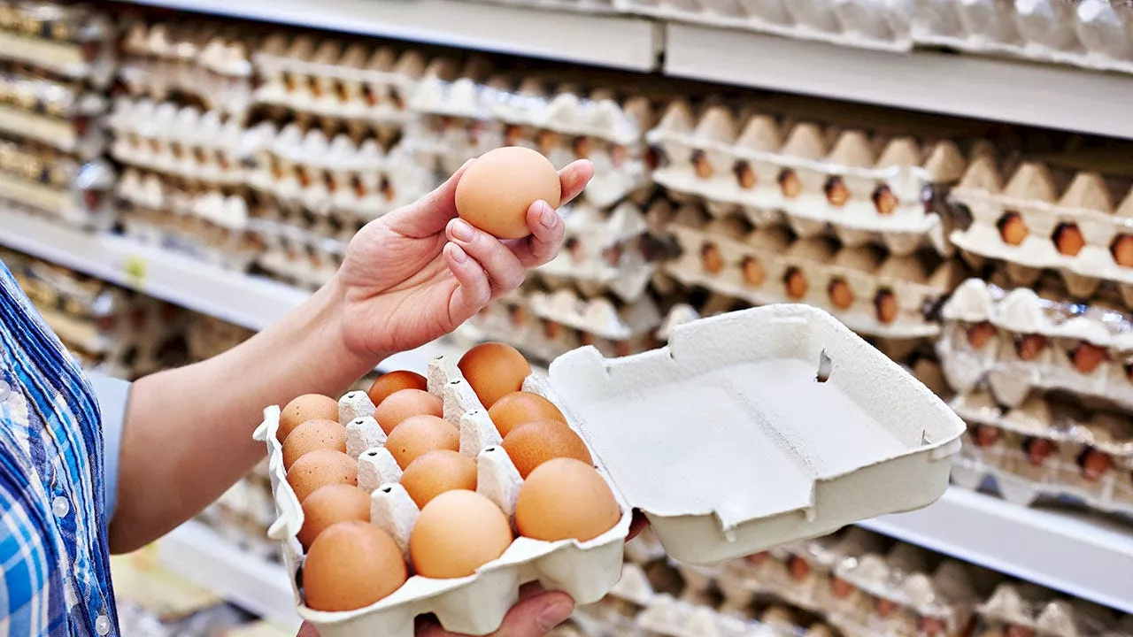 Michigan to Mandate Cage-Free Eggs Starting in 2025