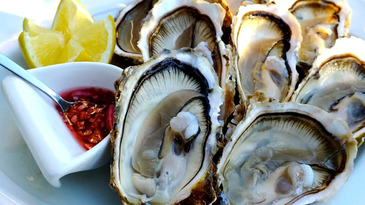 Dozens sickened after eating raw oysters during LA event celebrating city's best restaurants