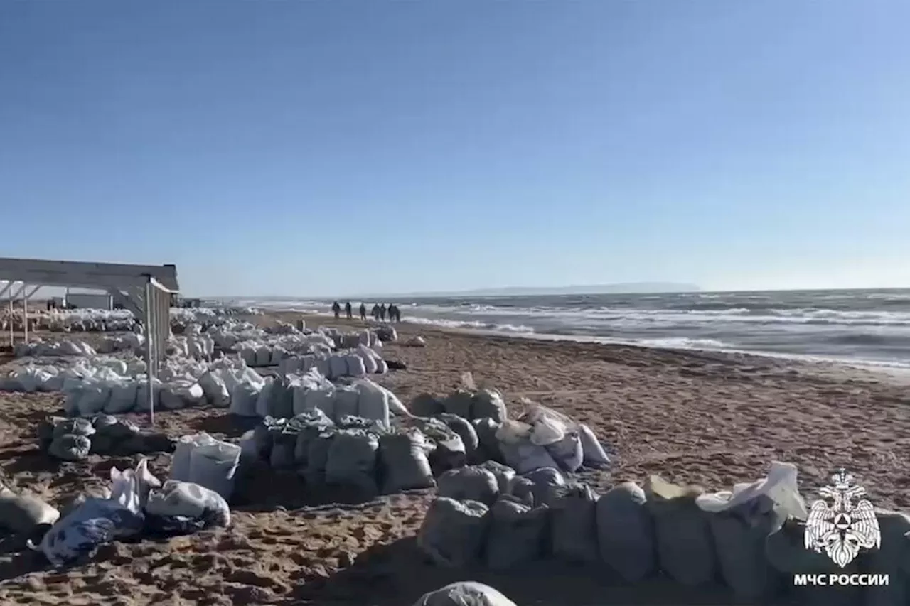 В МЧС назвали площадь очищенной территории береговой линии в Краснодарском крае