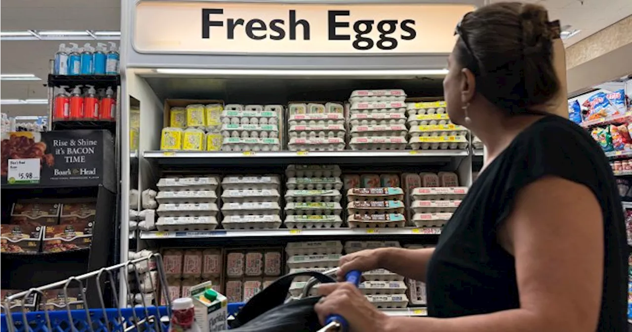 Bird flu outbreak in U.S. sends egg prices soaring amid holiday baking season