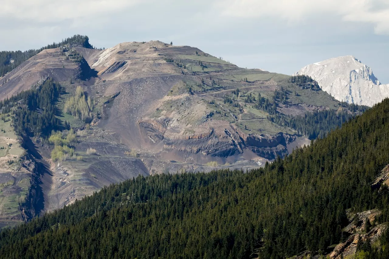 CEO of Evolve Power says Alberta’s coal policy has destroyed investor confidence