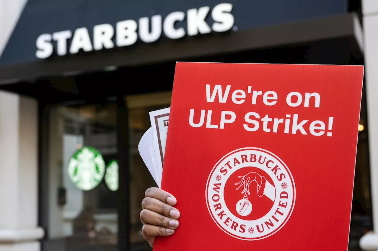 Starbucks workers plan strikes that could spread to hundreds of U.S. stores by Christmas Eve