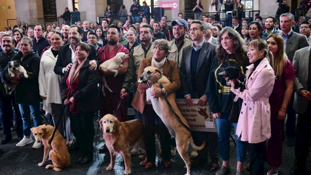 Arranca “Colecta de amor por los que no tienen voz”; Delfina Gómez y Club Toluca promueven la adopción de animales