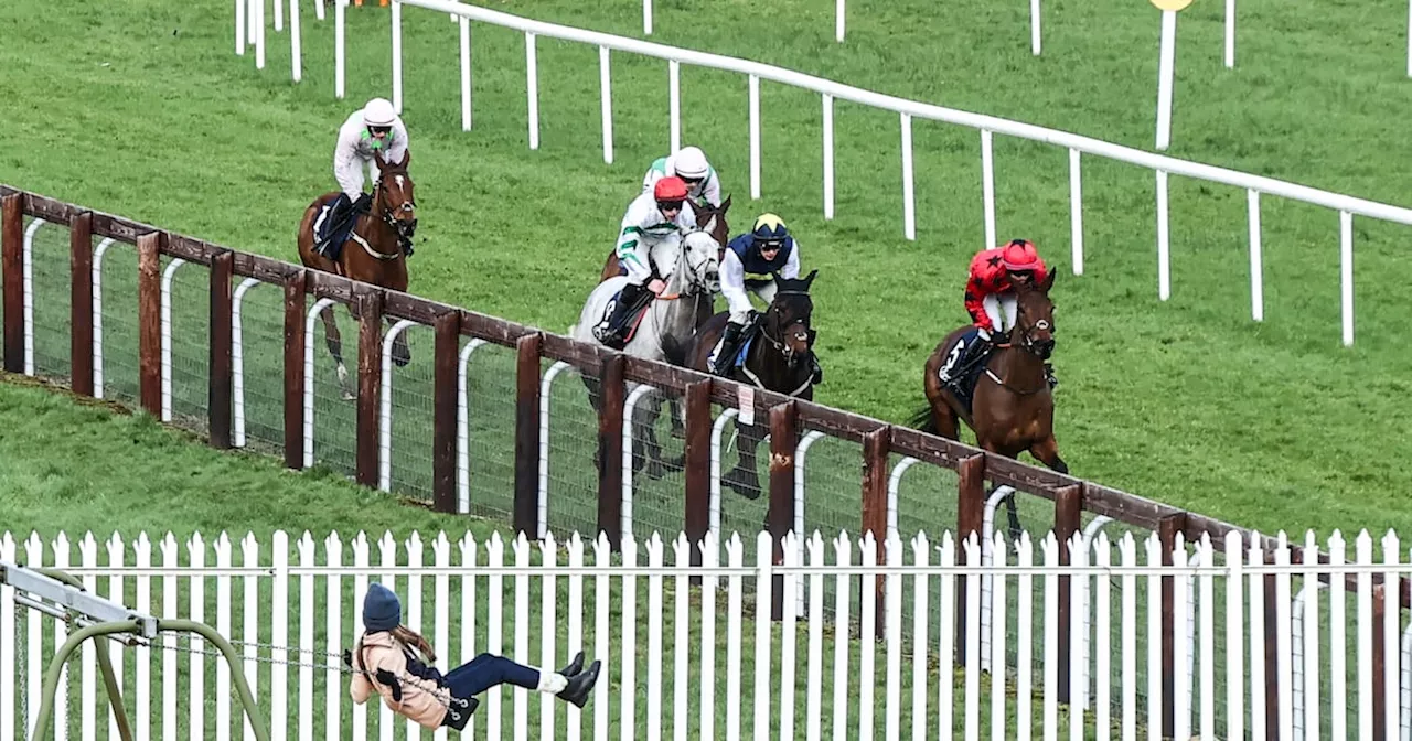 Unprecedented Irish Racing Success Masks Underlying Insecurity