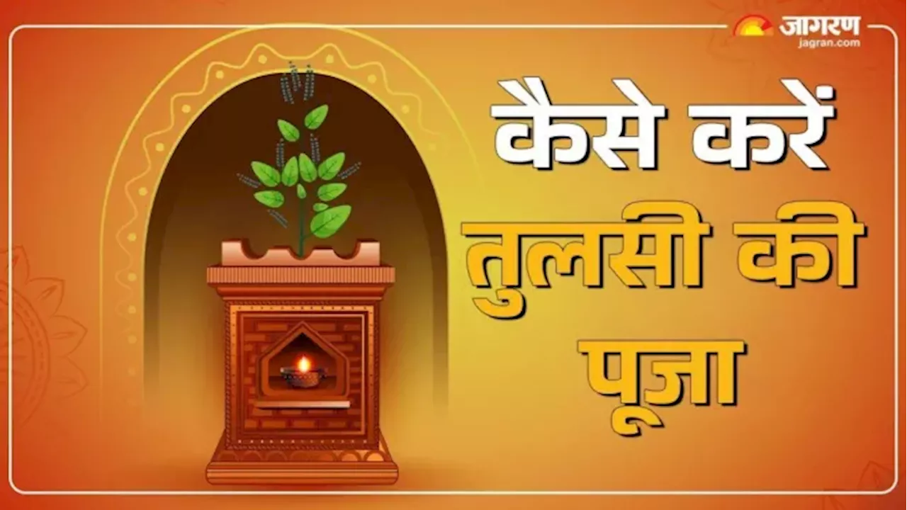 Tulsi Pujan Divas पर इन चीजों का दान करने से अन्न-धन में होगी अपार वृद्धि, जागेगा सोया हुआ भाग्य