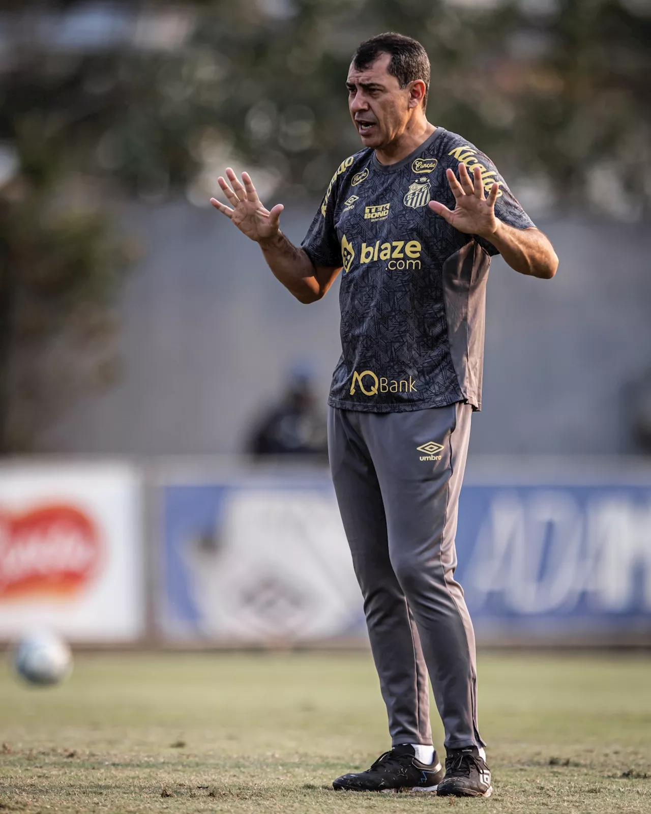 Fábio Carille Chega ao Vasco