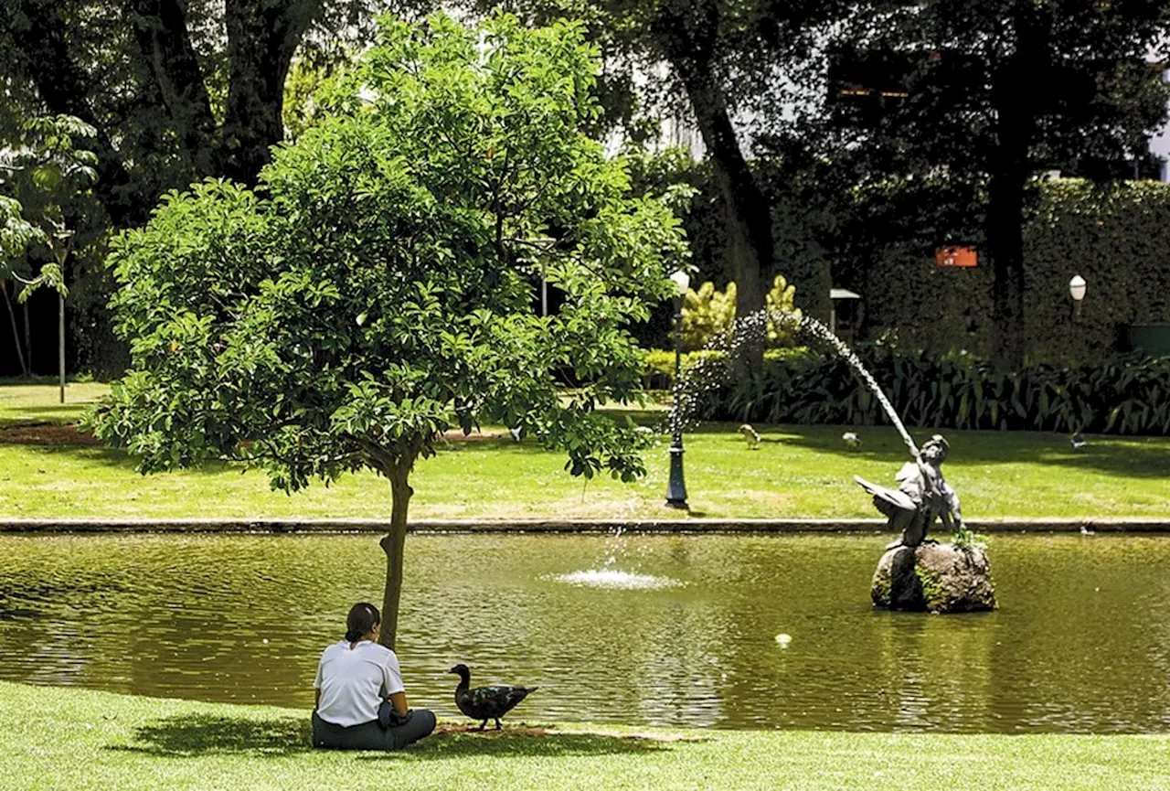 Cariocas buscam refúgio em jardins da cidade