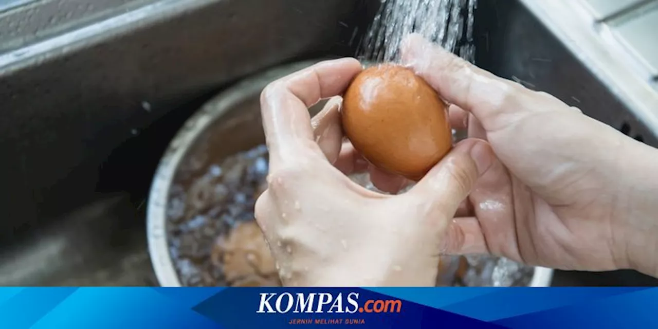 Tips Menyimpan Telur Agar Tetap Segar