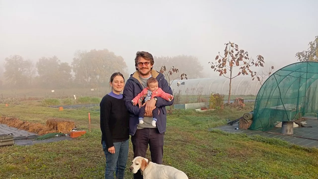 Un Couple Revient à la Terre : Salade Tomate Oignon