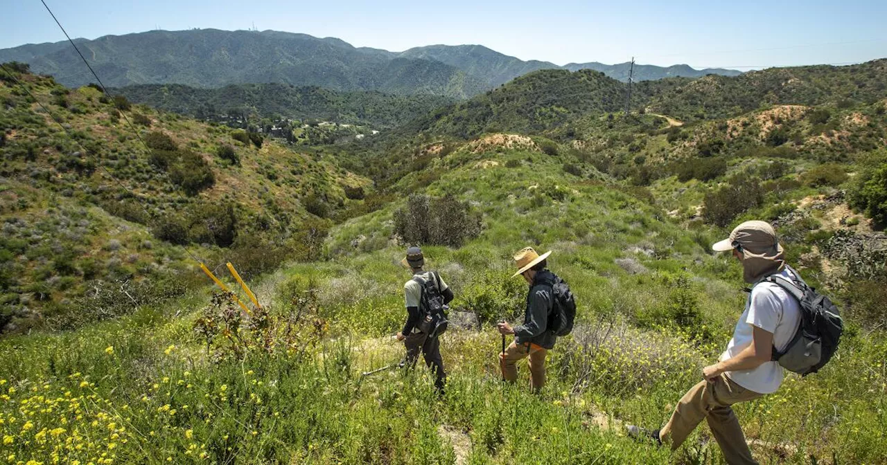 Battle over luxury Verdugo Mountains housing development spills into court