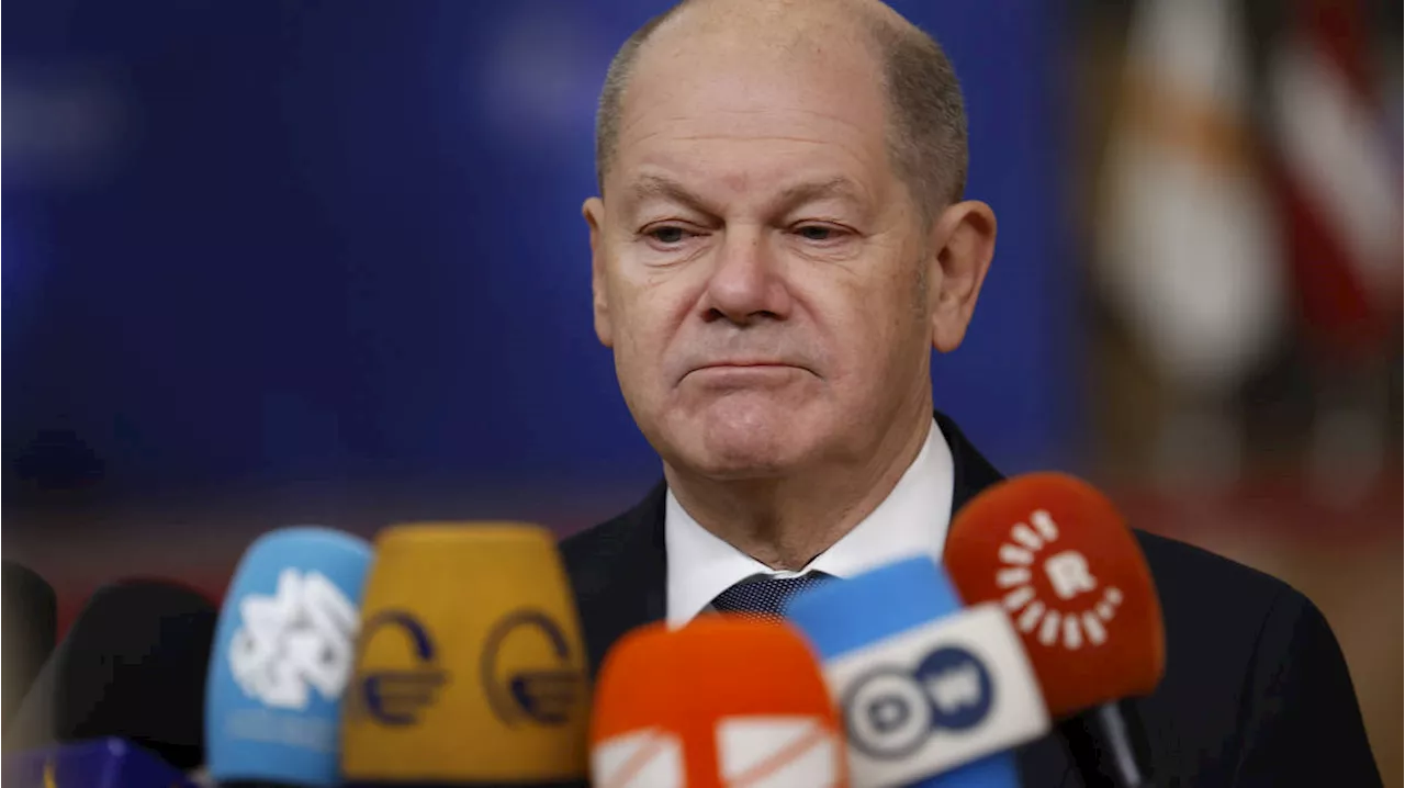 Scholz dismisses Elon Musk’s assertion only far-right party can ‘save’ Germany