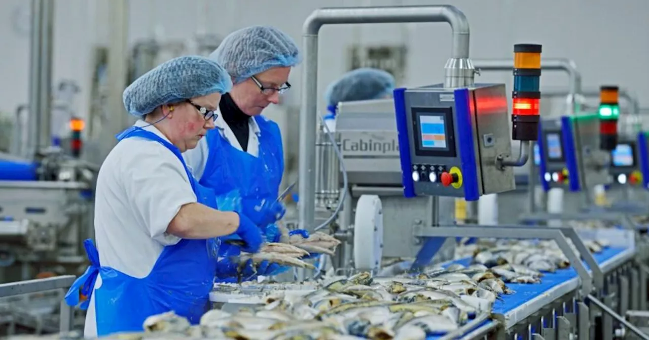 Saupiquet ferme sa toute dernière usine française à Quimper