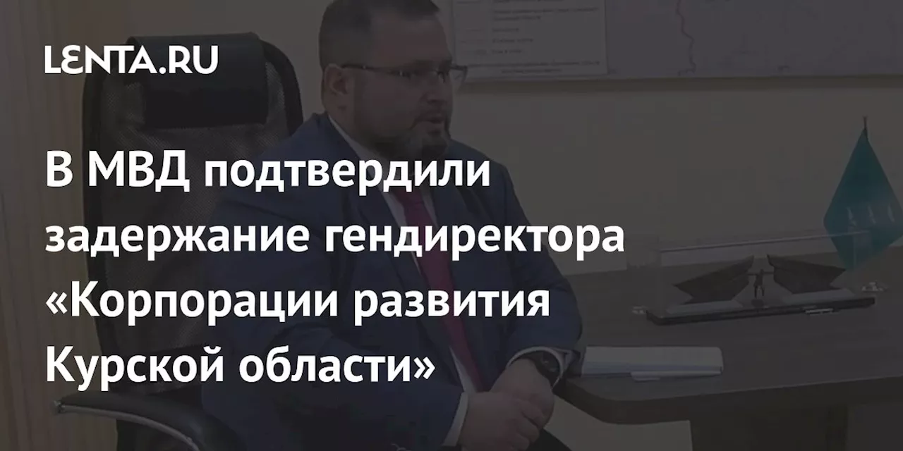 В МВД подтвердили задержание гендиректора «Корпорации развития Курской области»