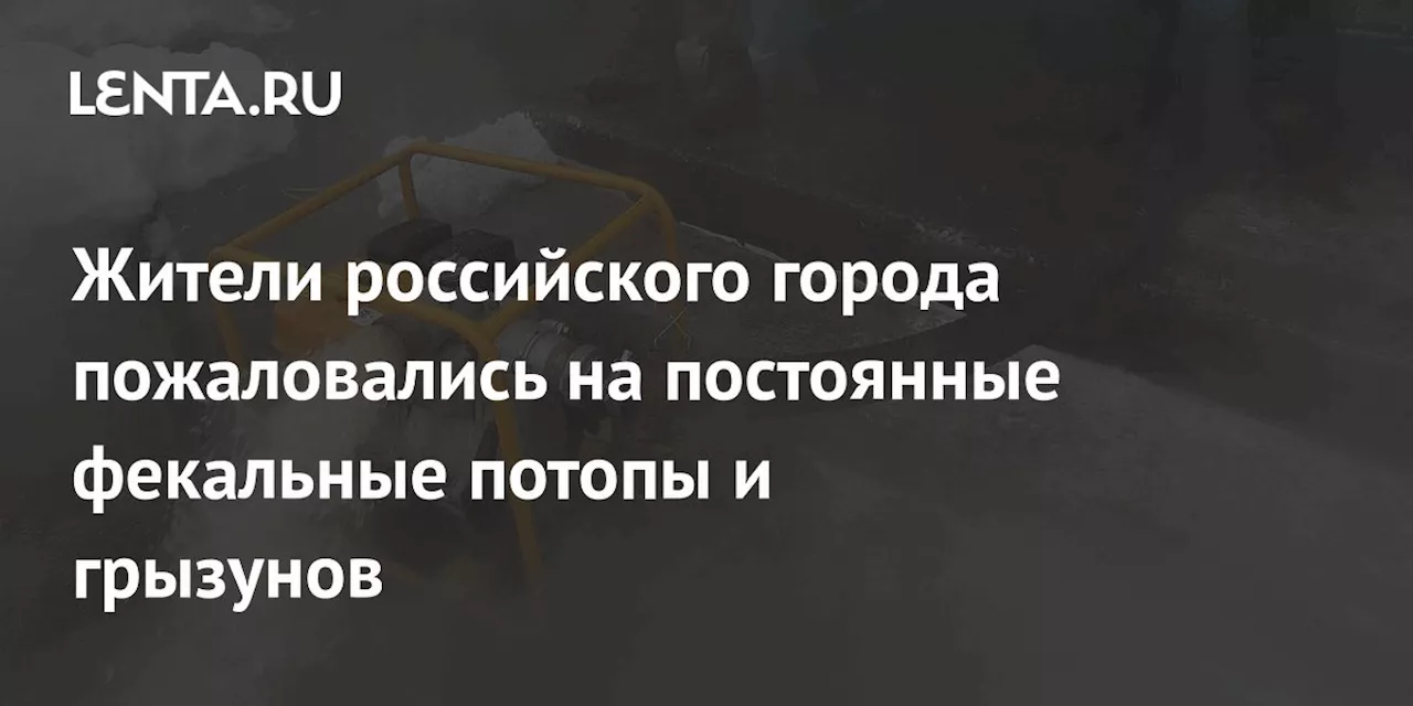 Жители российского города пожаловались на постоянные фекальные потопы и грызунов