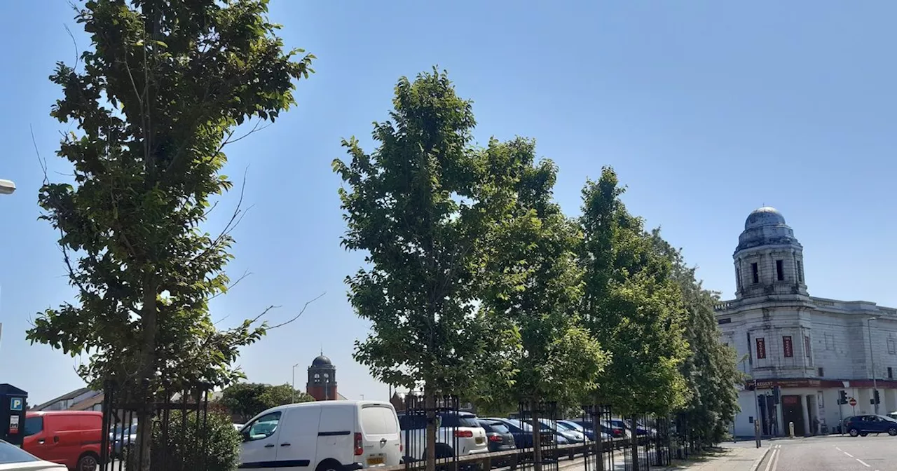 Blackpool receives £1.8m cash boost to plant trees