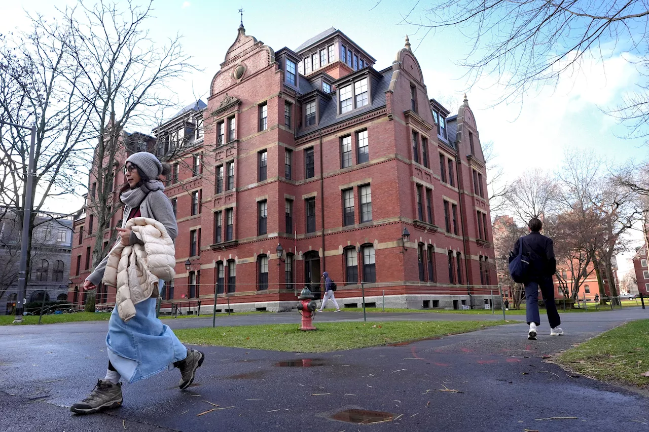 International students urged to return to US campuses before Trump inauguration