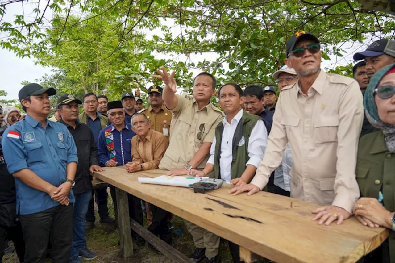 Pastikan Koridor Ekologis Gajah Terjaga Baik