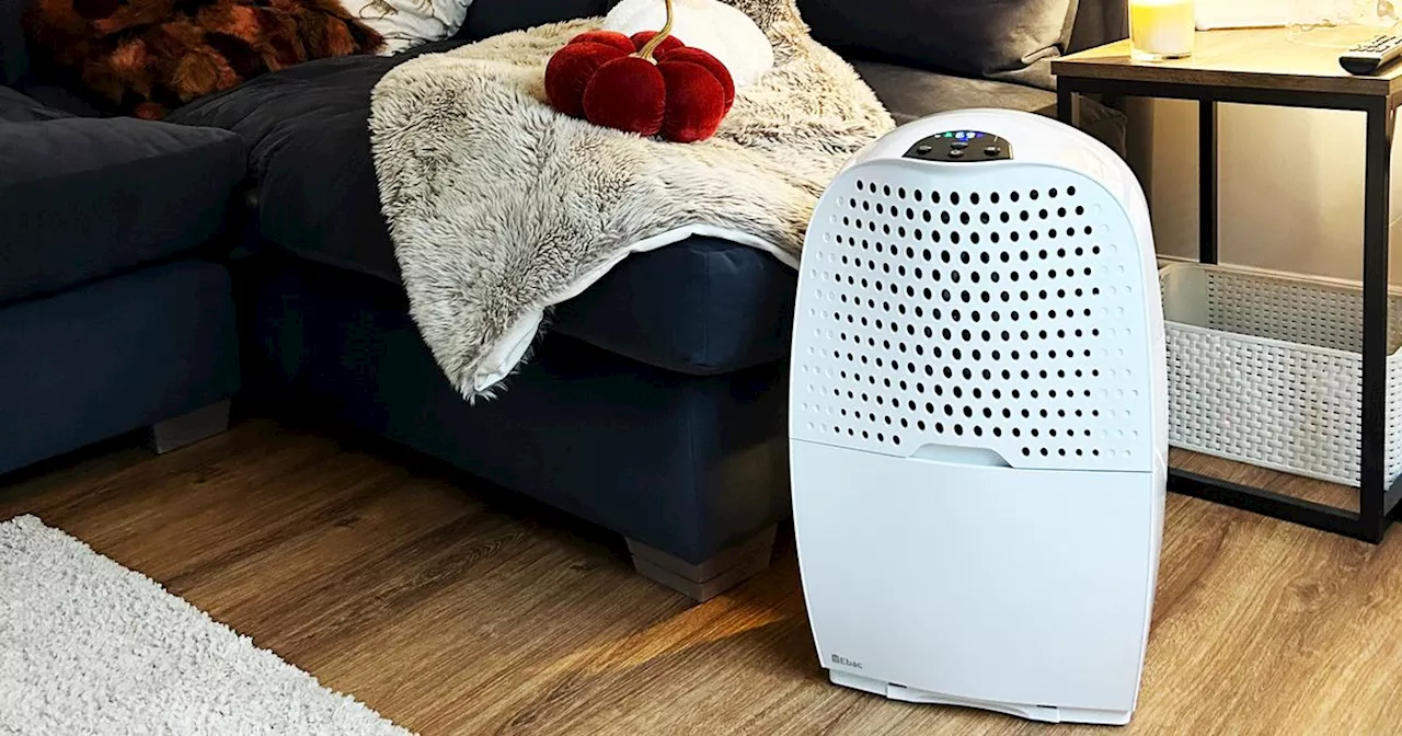 Combat Winter Damp with a Dehumidifier