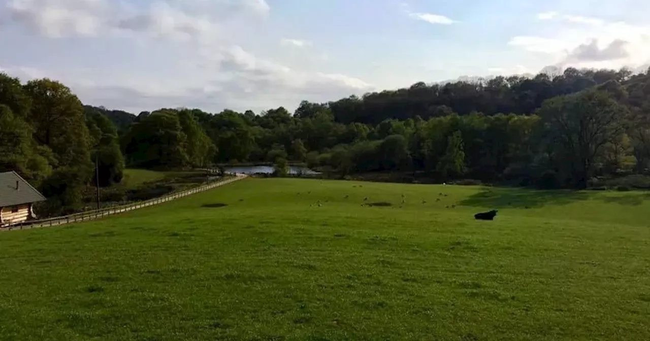 Fields to Fork Festival to Celebrate British Farming with Jeremy Clarkson's Beer