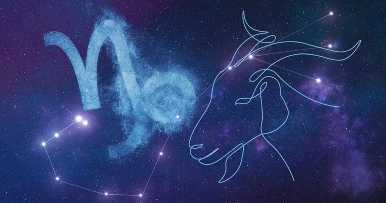 Capricorn Season Tarot Guidance: Where Are You Headed in 2025?