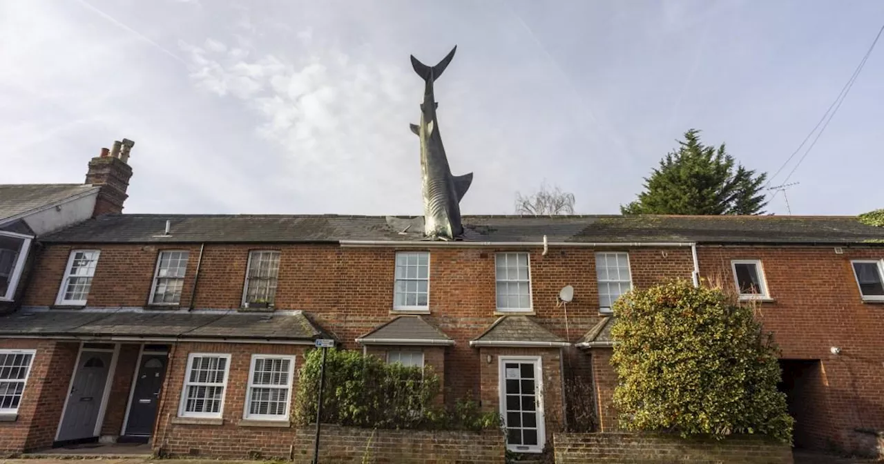 Oxford's 'Headington Shark' House Banned From Airbnb