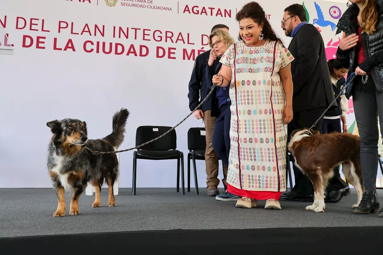 CdMx Anuncia Plan Integral de Bienestar Animal