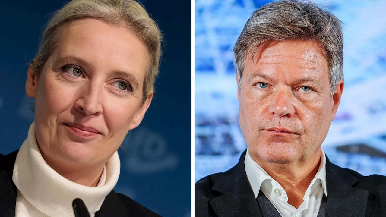 ARD und ZDF sagen TV-Duell zwischen Habeck und Weidel ab