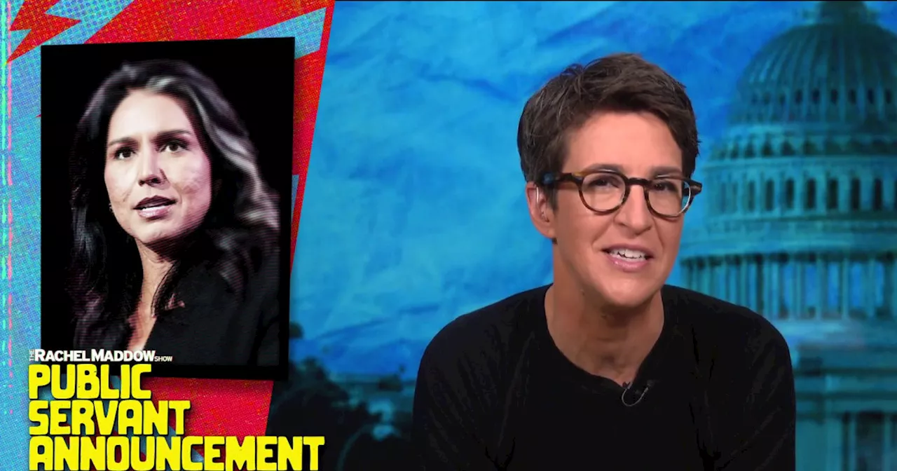 Rachel Maddow on Tulsi Gabbard: Six things about Trump's pick for director of national intelligence