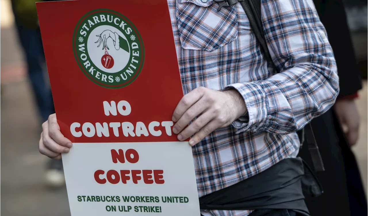 Starbucks baristas strike in three U.S. cities during pre-Christmas rush