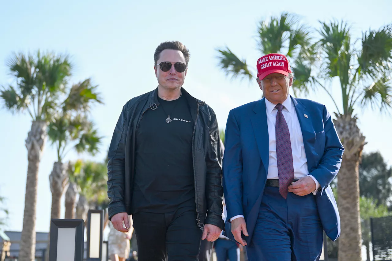 Trump and Musk's Power Play Disrupts Holiday Plans for Congress