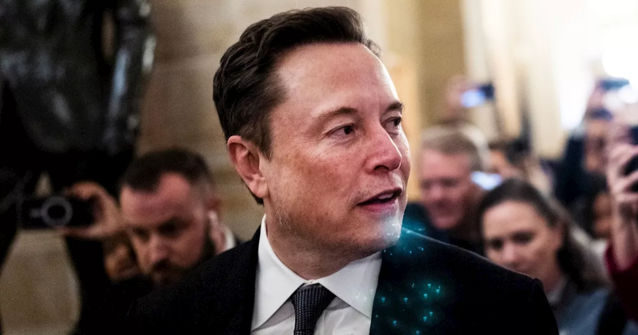 Elon Musk backs Germany's far-right party ahead of election