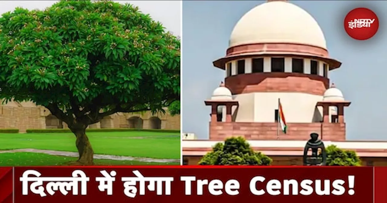 Tree Census: Delhi में पेड़ों की कटाई पर Supreme Court सख्त, पेड़ों की गिनती का आदेश