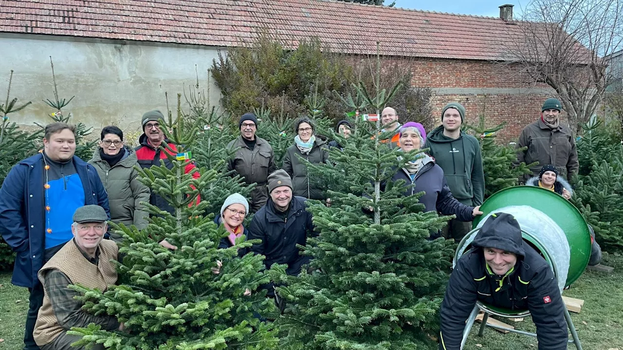 5.300 Euro: Christbaumverkauf für den guten Zweck in Orth