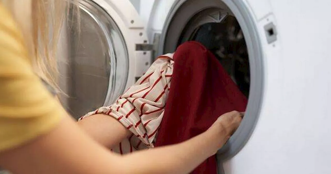 10-minute washing machine hack removes mould from seal every time