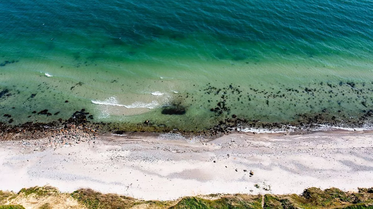 Steigende Wassertemperaturen gefährden Ostsee-Erholung