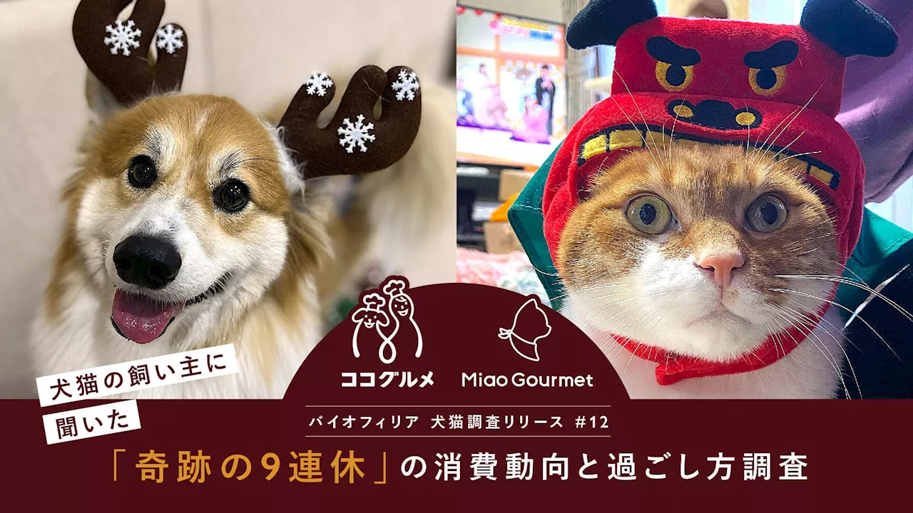 年末年始にペットの“プチ贅沢”へ：愛犬用手作りごはんCoCo Gourmetなど、株式会社バイオフィリアが調査結果を発表