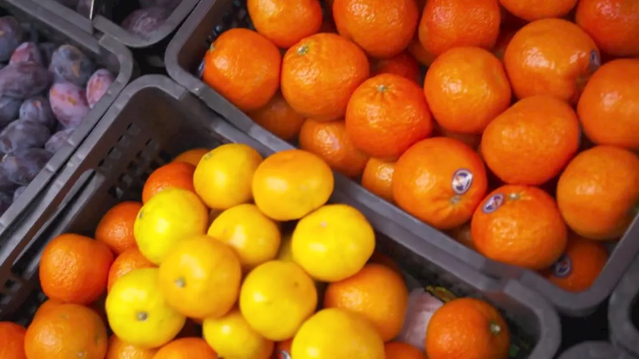 Mandarine: Die leckere Winterfrucht mit Gesundheitseffekten