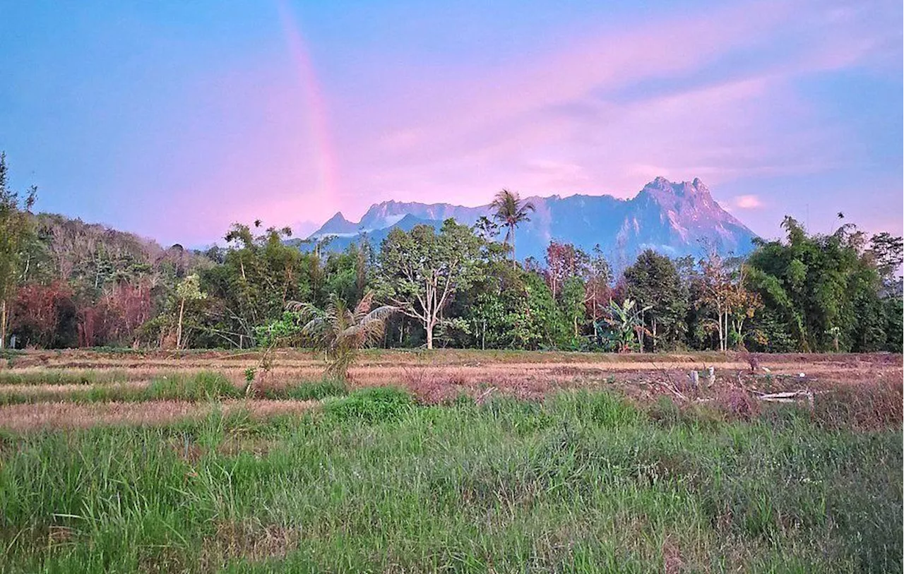 Malaysia Airlines Boosts Flights to Sabah and Sarawak for Year-End Holidays and Chinese New Year