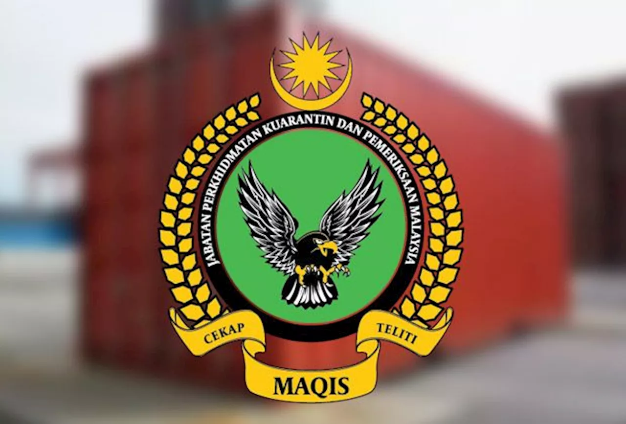 Penang Maqis seizes 27 tonnes of frozen sausages with fake import documents