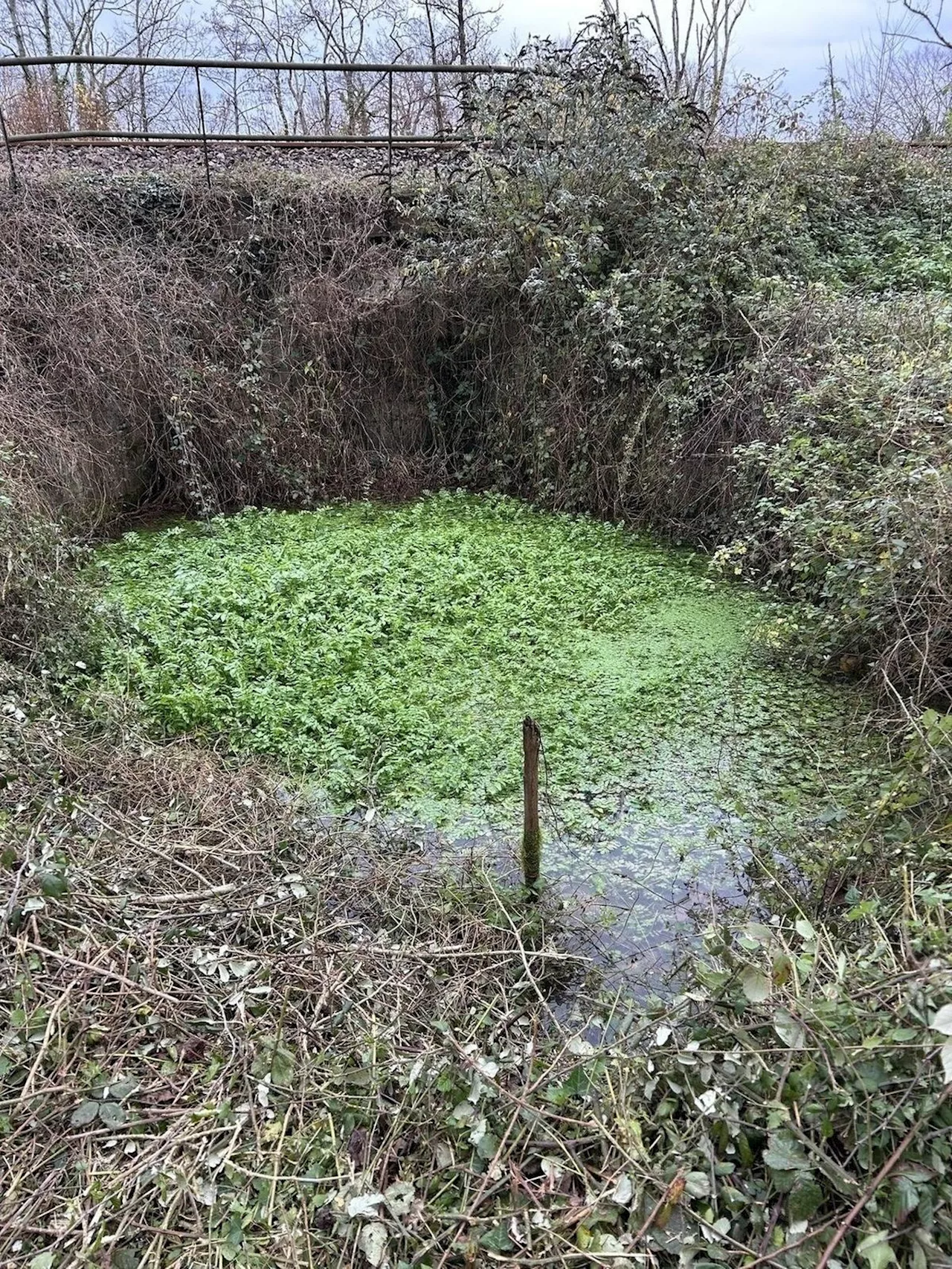 « Fontaine intermittente », antenne-relais : le point sur le Conseil municipal de Marsac-sur-l’Isle