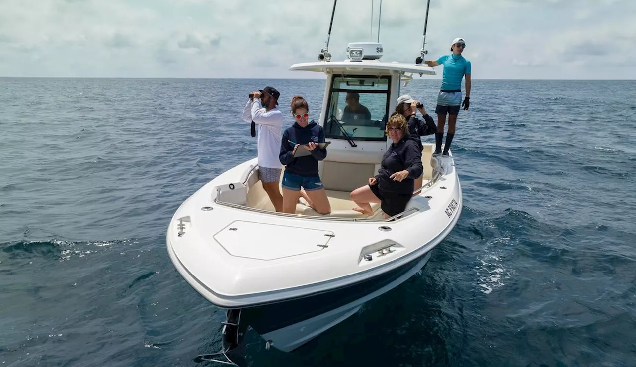 One Ocean, une association du Bassin d'Arcachon reconnue par la science internationale